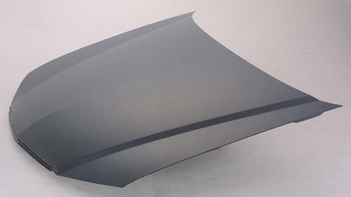Capot pour Acura TL 2002-2003, AC1230113 - Pièces détachées Hunt