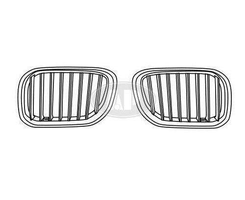 Calandre côté conducteur BMW X5 2004-2006 Chrome/Argent avec titane, BM1200159