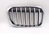 2016-2019 Bmw X1 Grille Passenger Side Ptd Silver With Chrome Frame For X-Line Model