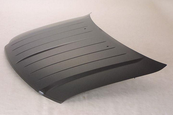 2007-2009 Chrysler Aspen Hood