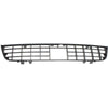 2003-2006 Ford Expedition Grille Lower Paint To Match For Eddie Bauer (Use With Engine Heater)