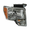 2009 Ford F150 Head Lamp Passenger Side High Quality