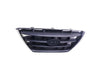 2004-2006 Hyundai Elantra Grille Chrome/Black