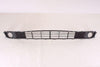 2006-2007 Kia Optima Grille Lower