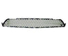 2012 Mercedes S350 Bluetec Grille Lower Center S350 Bluetec