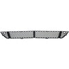 2010-2012 Mercedes S600 Grille Lower Center Matte Without Sport