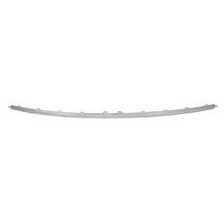 2018-2020 Volkswagen Atlas Bumper Moulding Rear Center Chrome